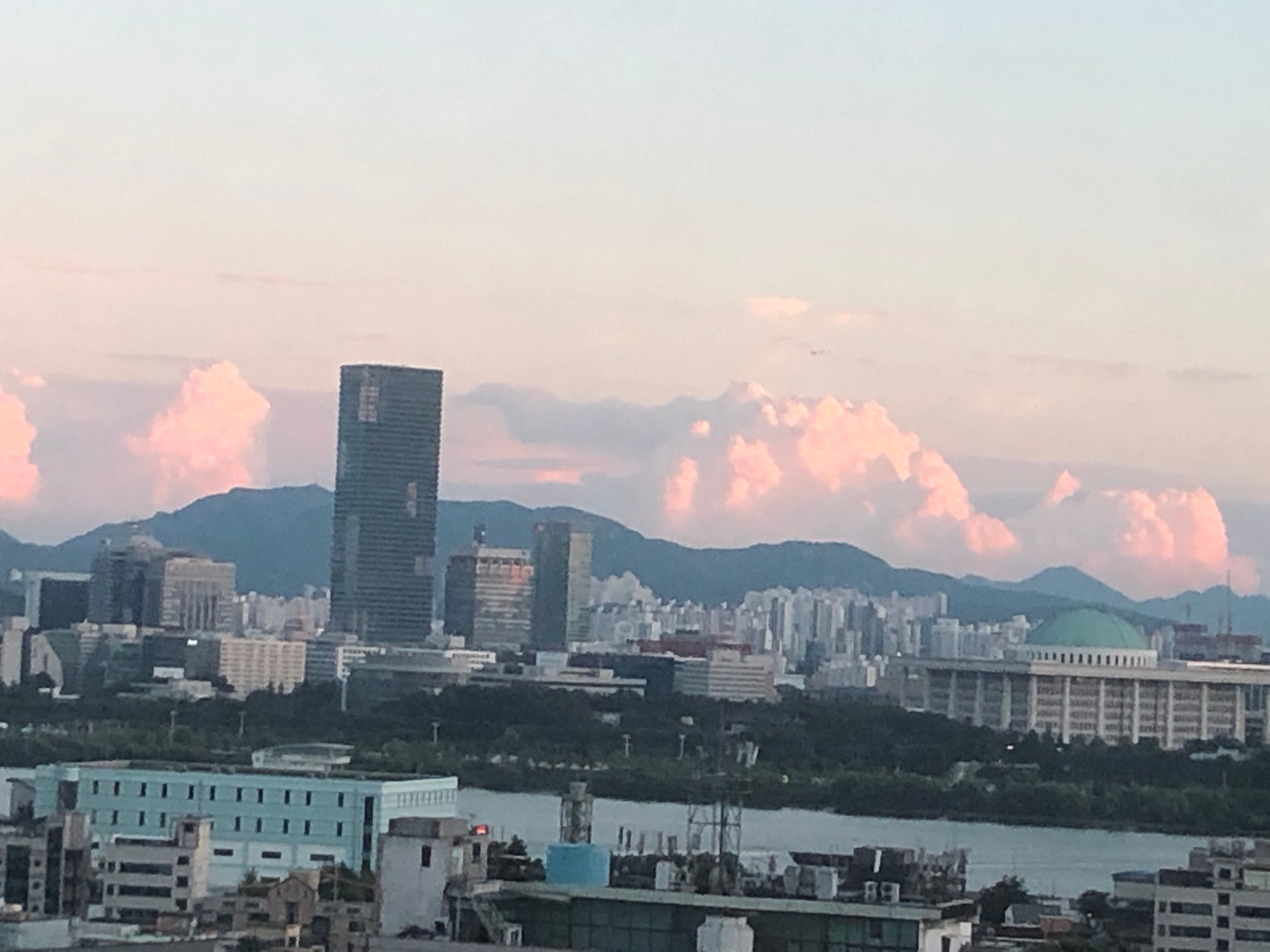 떠다니는 부유물