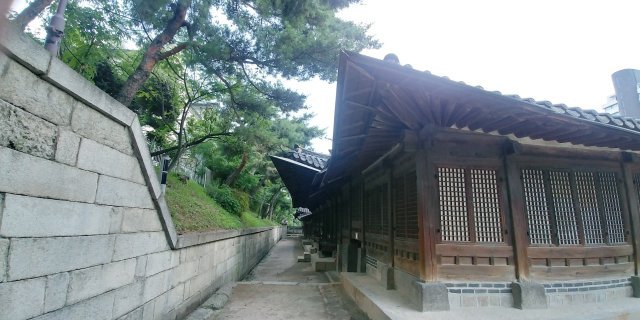 좌시선