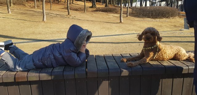 고윤경