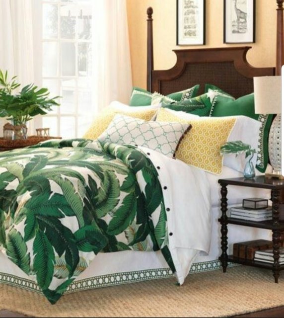 hola 부엔까미노