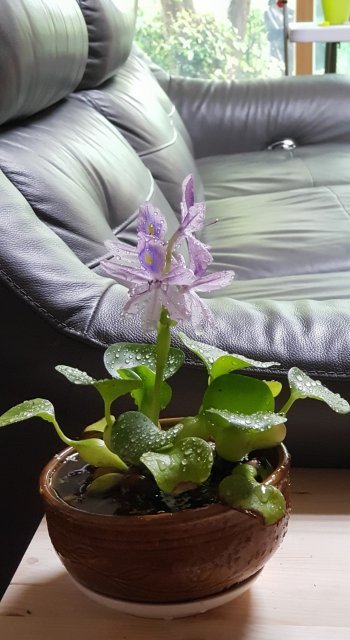 구정현서영서윤승준맘