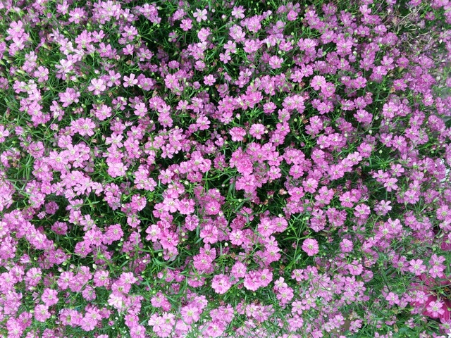 이쁘다 이 봄처럼