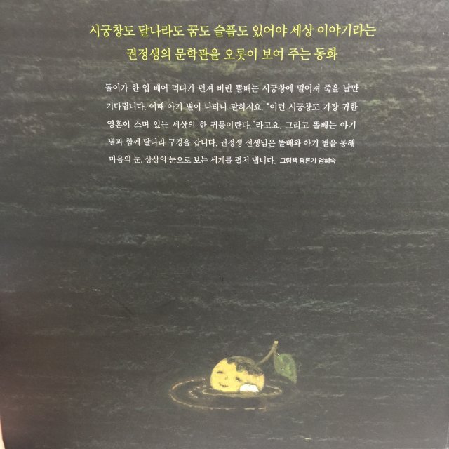 김경자