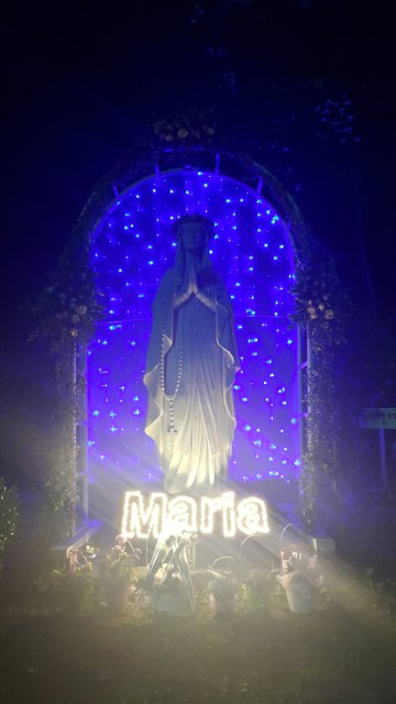 배명기 프란치스코