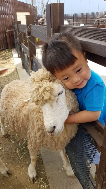 양이랑놀고 물개에게 까불기