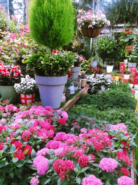 별반짝이는동산