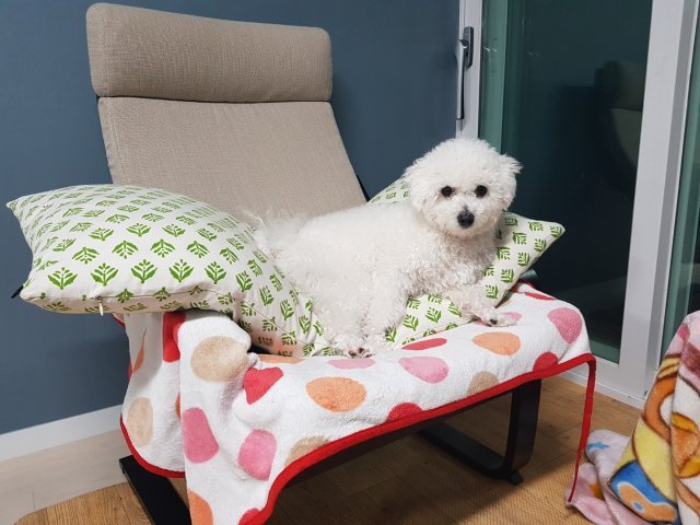 권우선