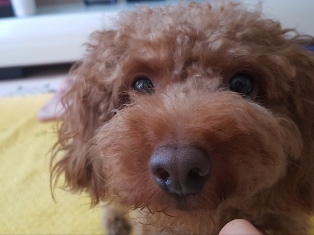 박주영