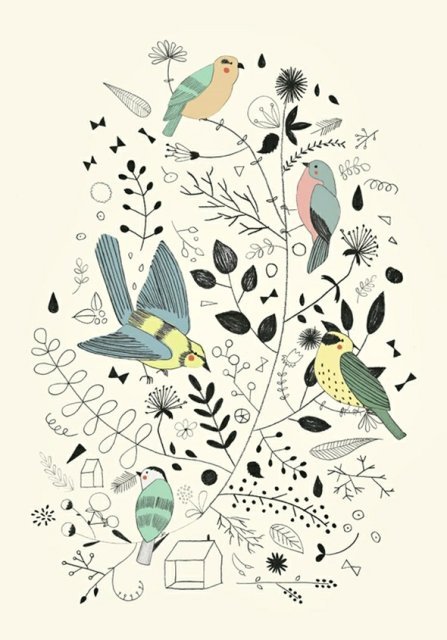 신연화