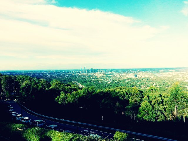 들에 핀 이름없는 꽃