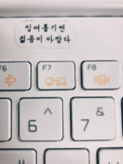 뽈썸원