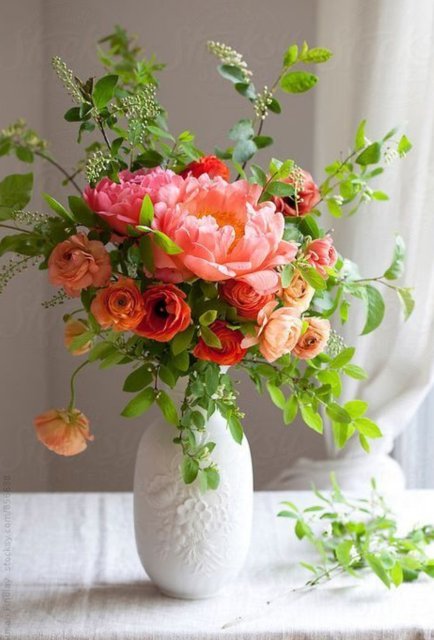 take care 앤 bring up