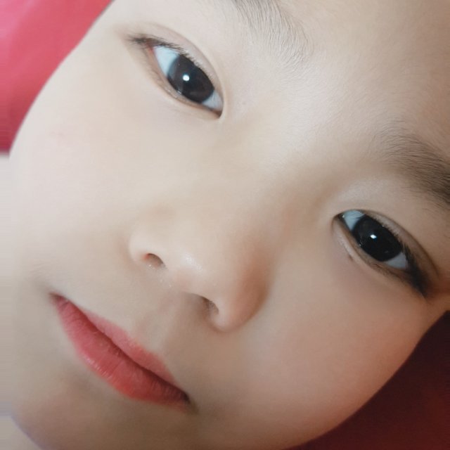 세진