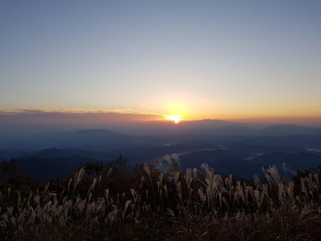 최주련