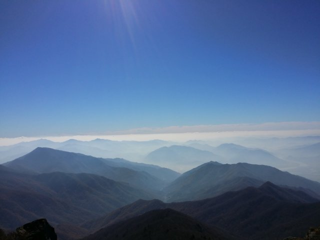 김이화 가브리엘라