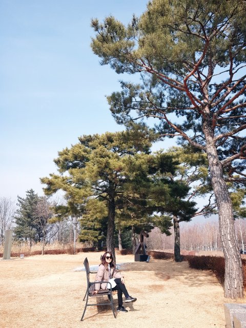 신혜경
