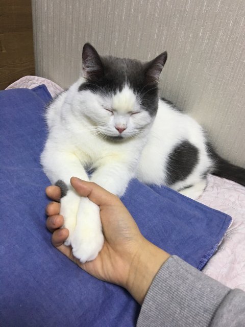 ㄱ방구