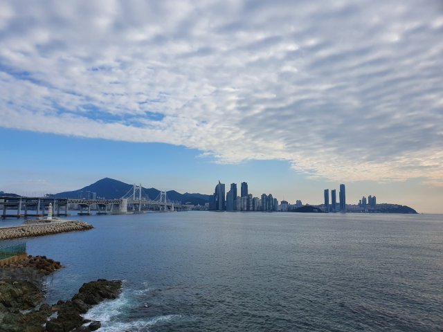 서울사는 부산뇨자