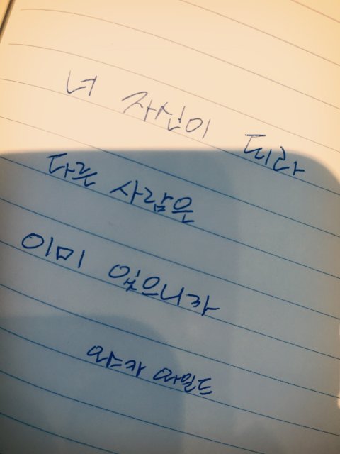 토끼인척 사는 거북이