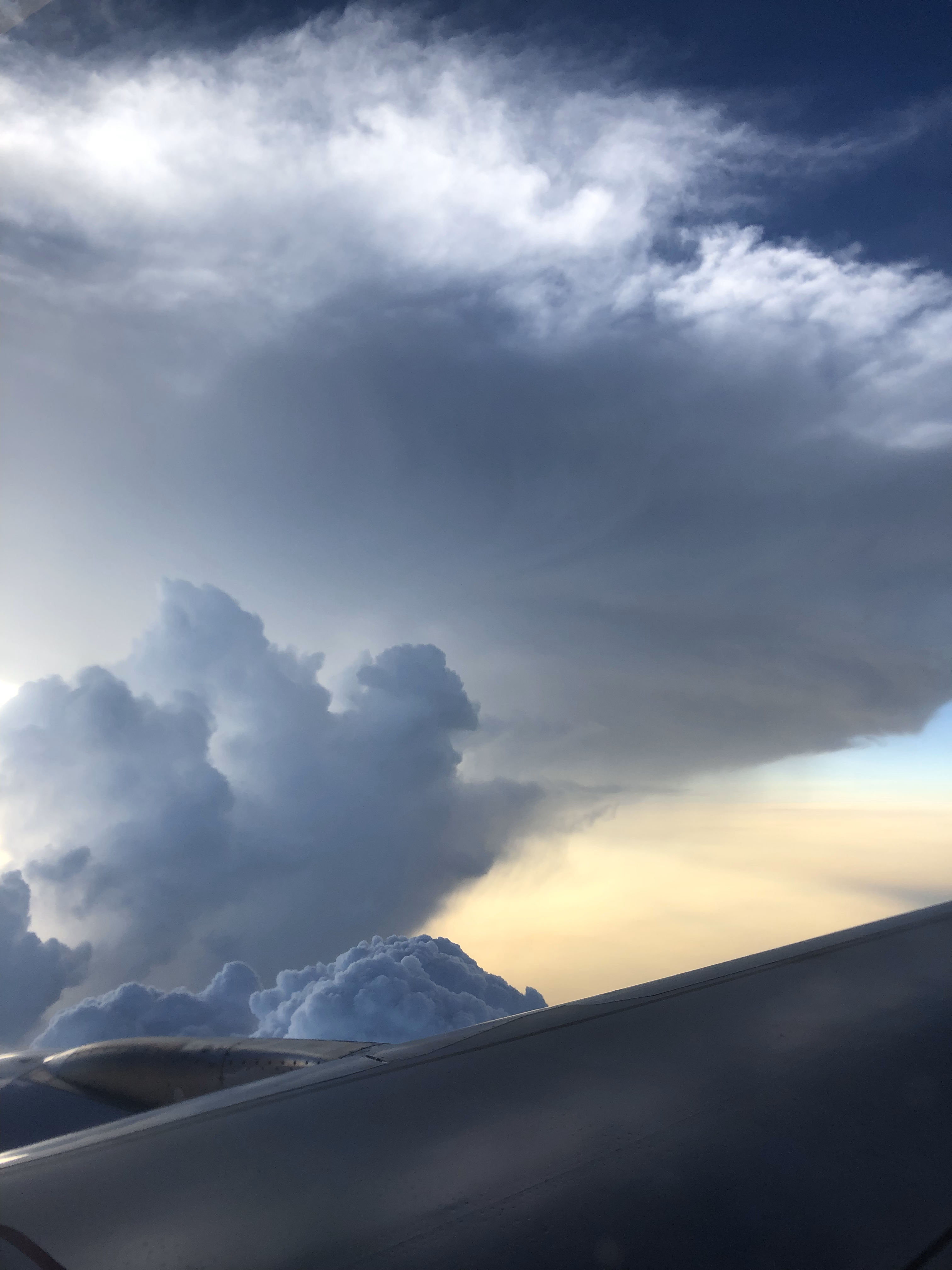 밥 잘 먹는 그냥 누나