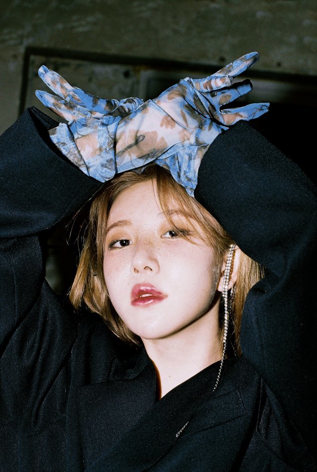 서울역 다람쥐