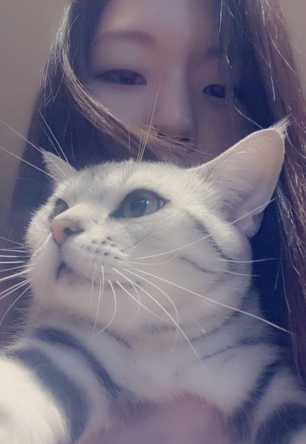 반짝반짝빛나는