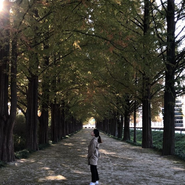 이서영