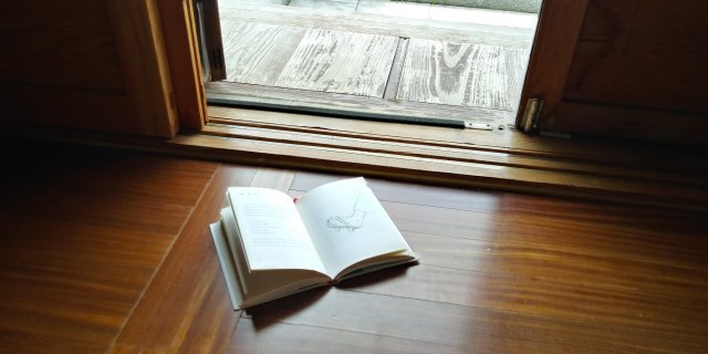 나는 달리고 그리고 쓴다