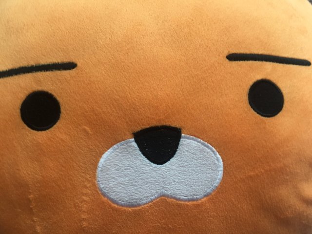 여행을위한여자