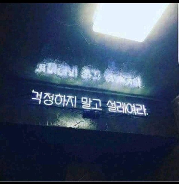 청명한젊음