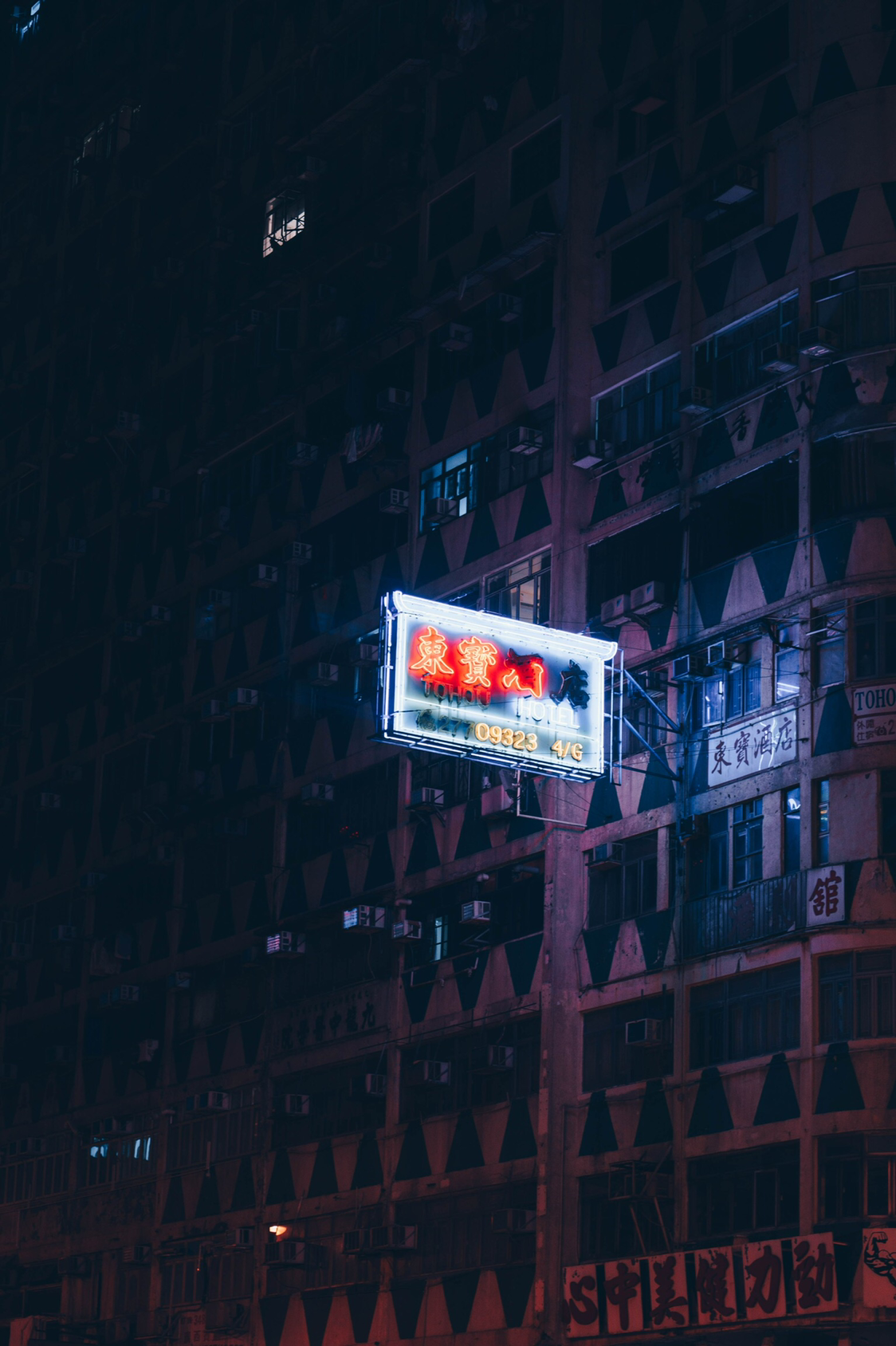 그대의 내일은 괴로움이다 - 오늘 날씨 맑음