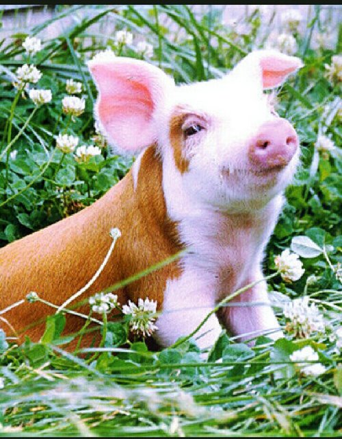 조성빈 엄마 조지영은 작가입니다