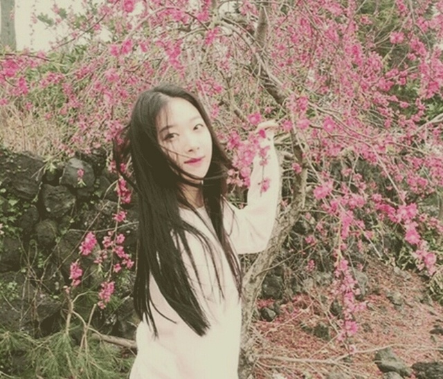 차수정