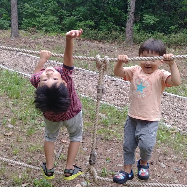 황정순