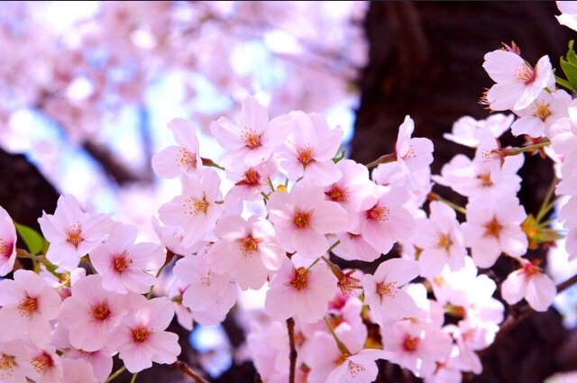 장금주예은영우