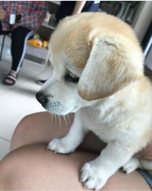 주지혜
