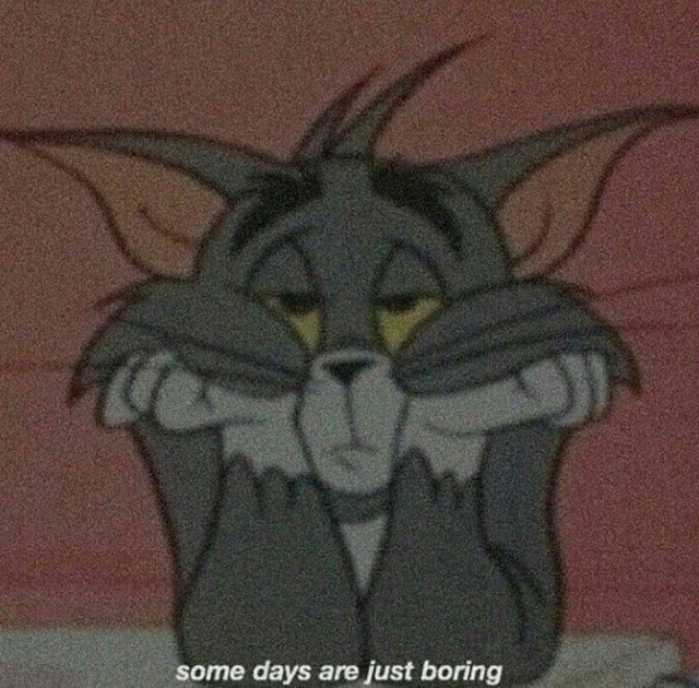 요가하는 헤일리