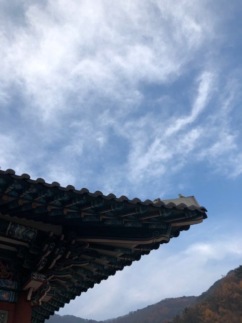 자연