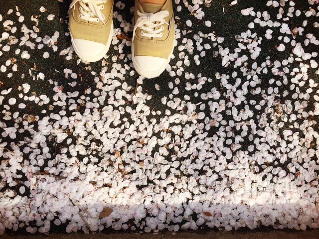 유계선미정 준호맘