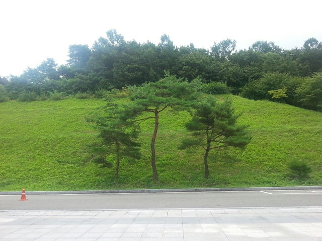 곰탱이 같은 누구