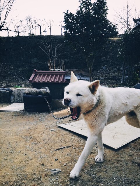 형원Moon