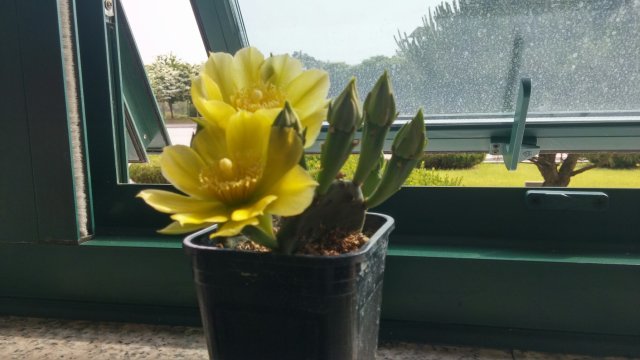 내가 세상을 사는 이유