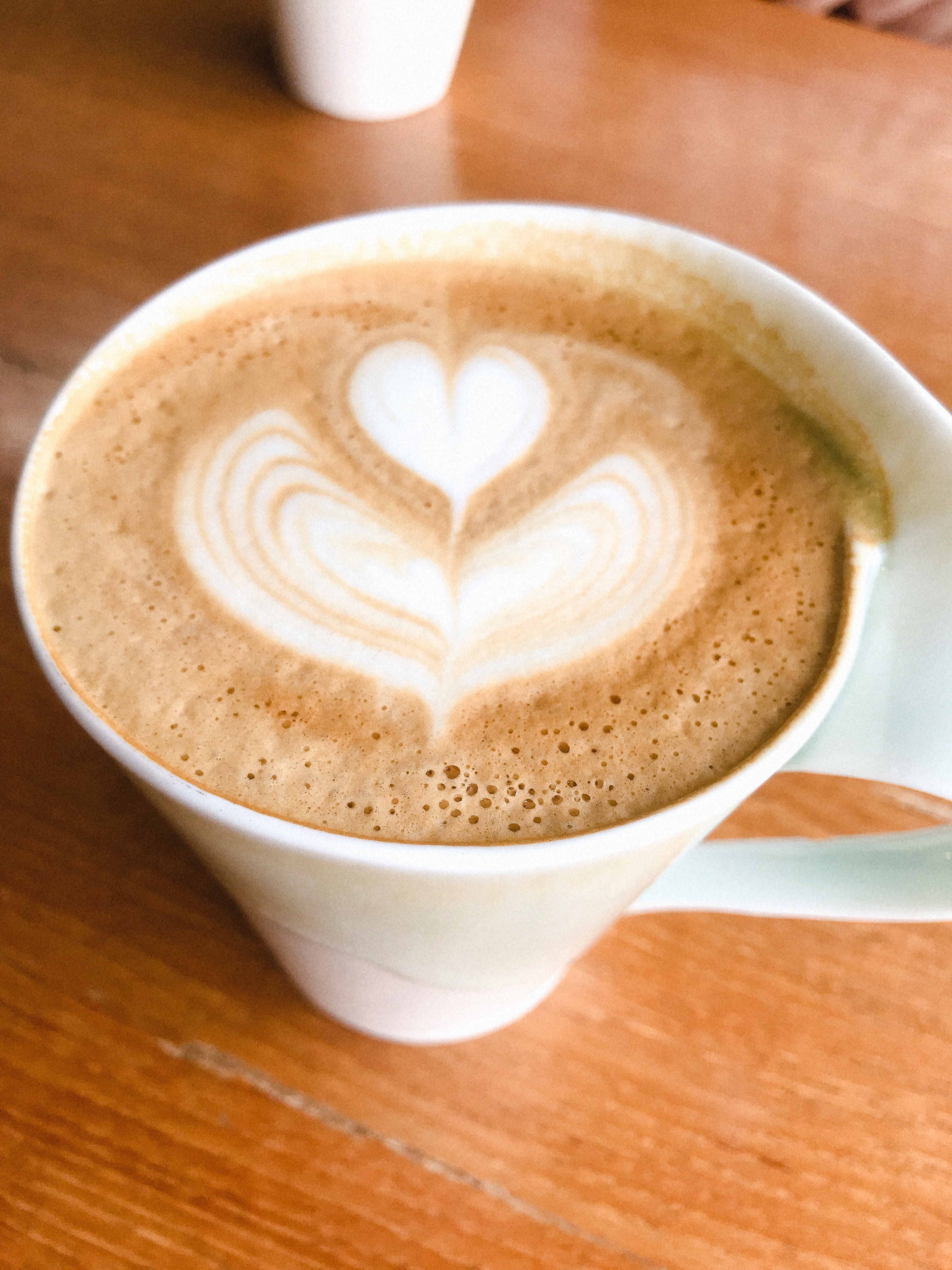 시들지 않는 장미여라