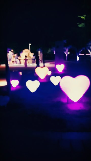 승효승윤맘안준희