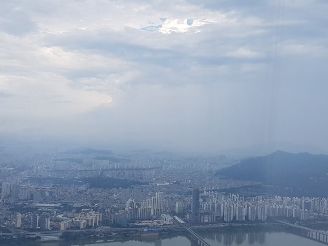 진흥국