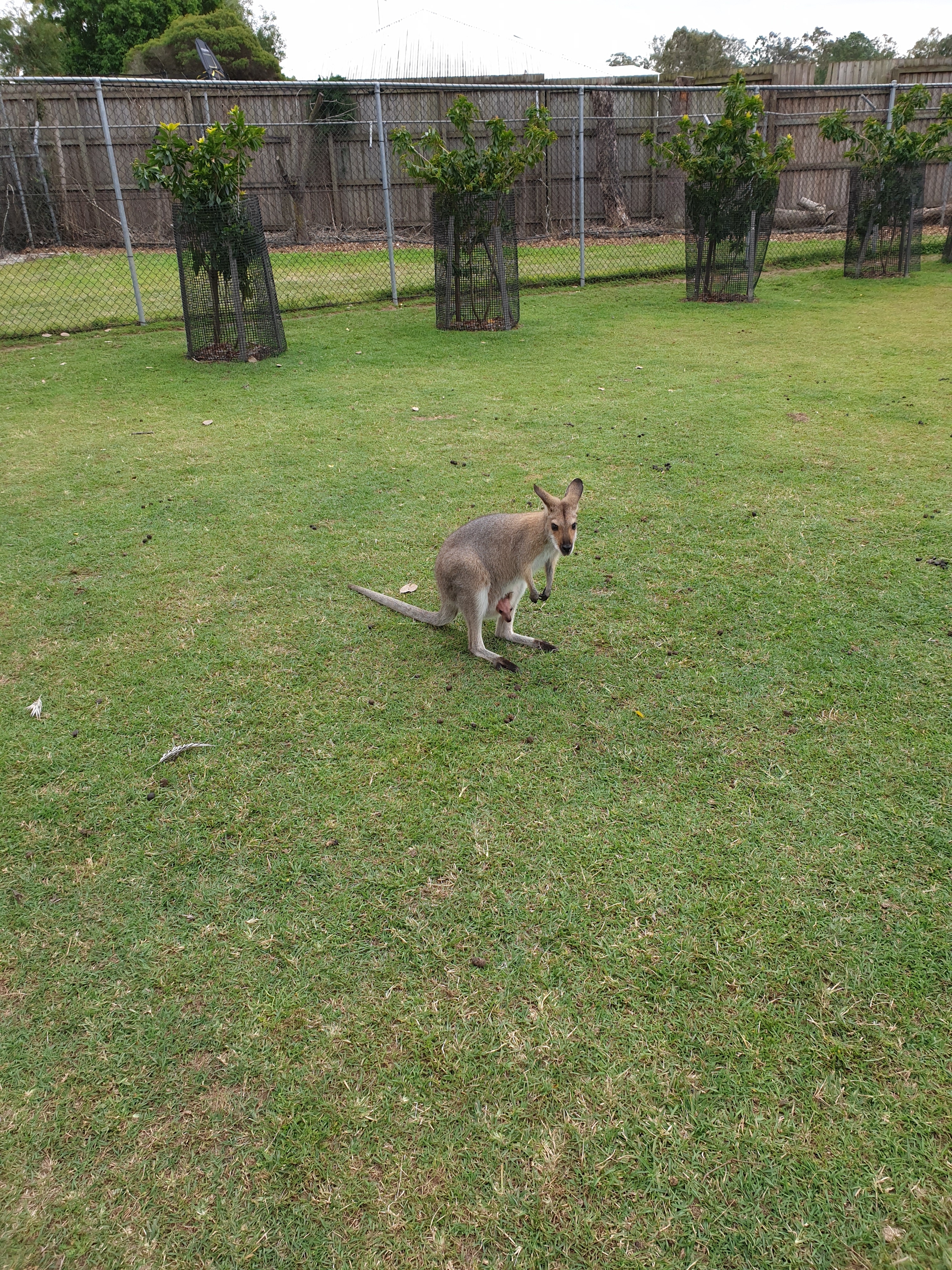 Sense and Sensibility