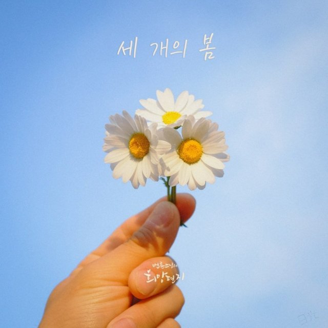 웃어요스마일양