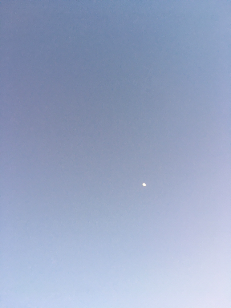 가진건 돈밖에 없는 공기업 다니는 김계장 이야기