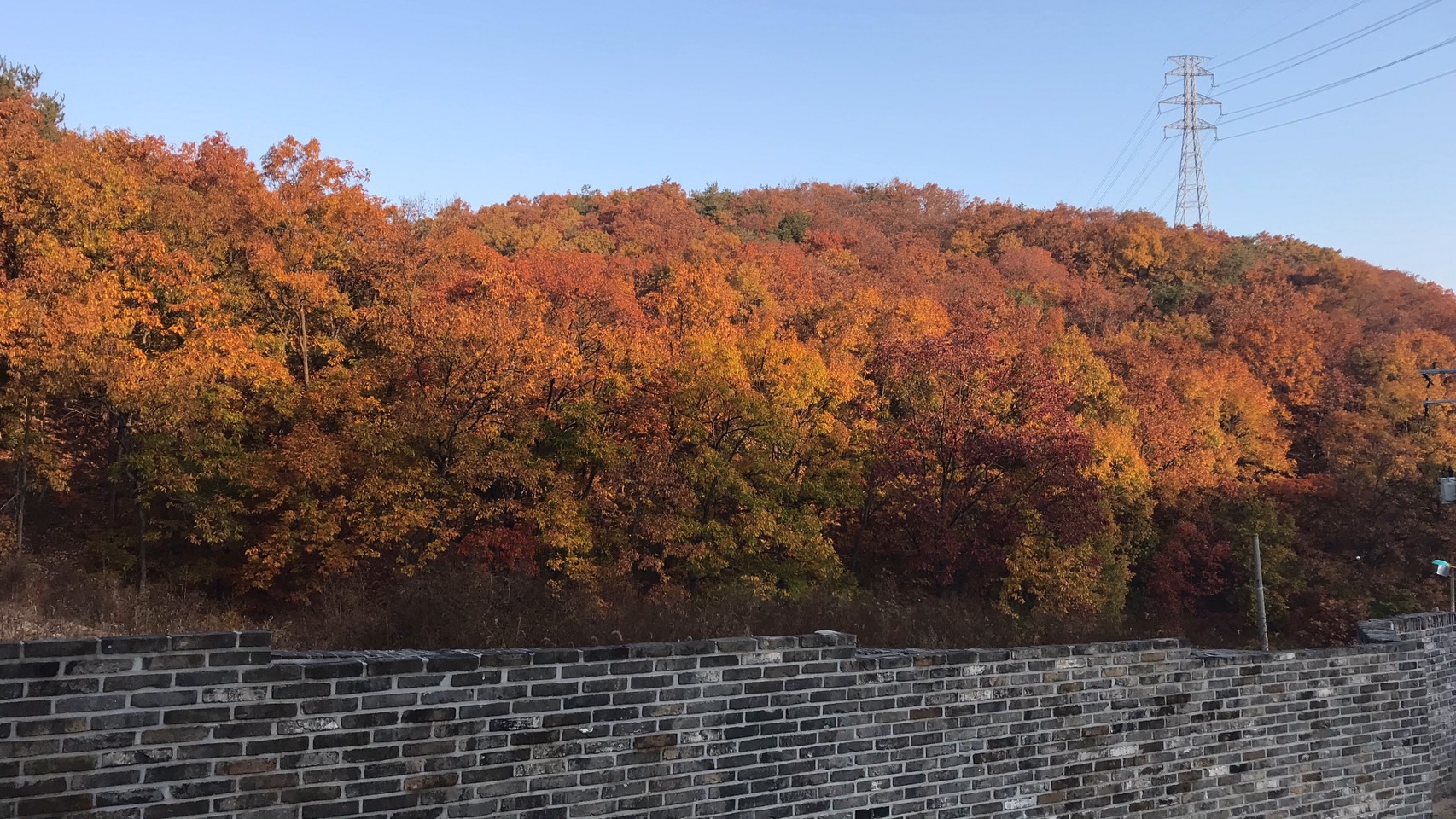 집으로 가는 길