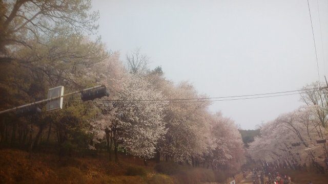 오지환